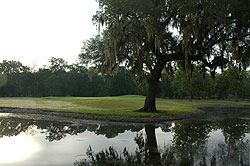 Slideshow